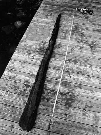Loholmen 13 Discussion The cultural layers discovered within the investigation area contain artefacts which are contemporaneous with Loholmen castle, in particular the brick finds, worked timbers and