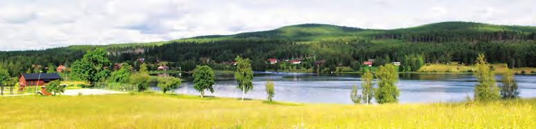 Väl mött i vackratängerdalen UPPTÄCK TÄNGERDALEN Ge dig