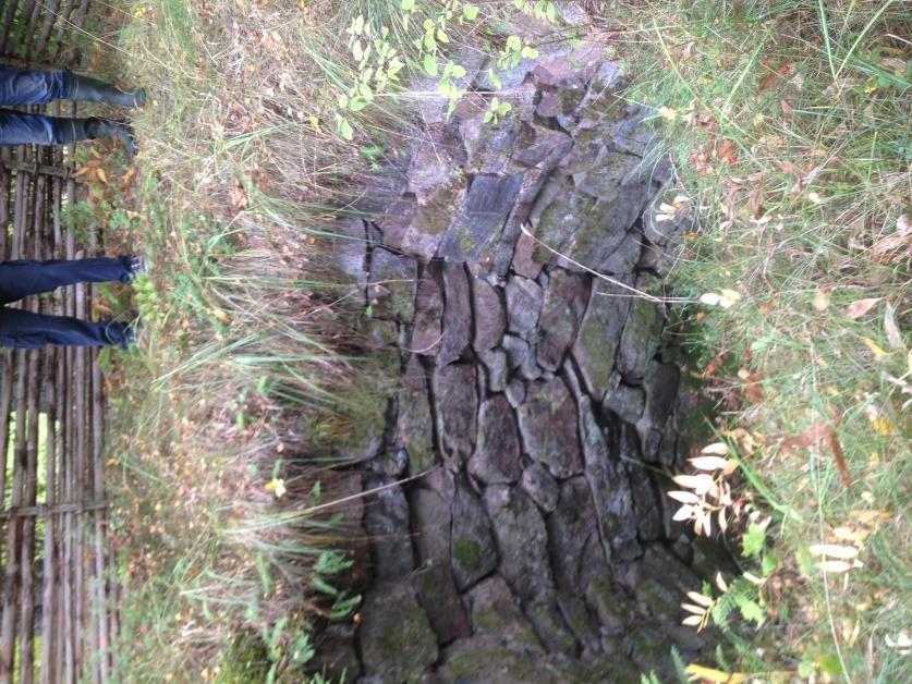Fornminnesexkursion Årets fornminnesexkursion gick till Norrby. Där möttes vi av Lars Norén och Kjell Adolfsson från Valö-Forsmarks Hembygdsförening, som var dagens guider.