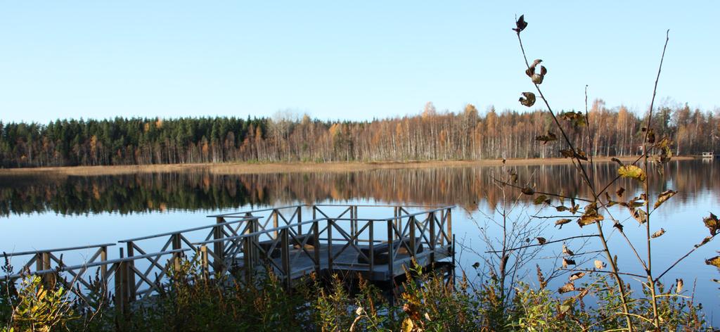 Vision för Horndal 2025 Horndal mitt i naturen, ett levande samhälle med attraktivt boende och framtidstro. Här finns alla möjligheter i världen!