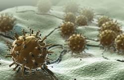 VIRUS Icke levande (ingen ämnesomsättning) påse med DNA/RNA.
