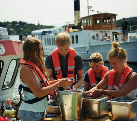 Passa också på att besöka KÄRRSTEGENS GÅRD vid Ljungskilevikens strand.