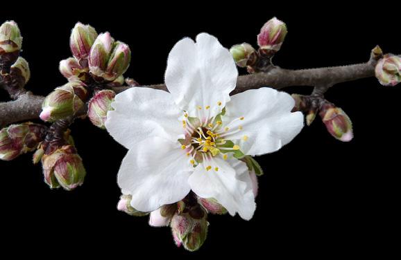 Vårens kurser Växakursen fortsätter även under våren. Växa träffas varannan torsdag 18.30 jämna veckor. Gruppen leds av Rose-Marie och Tomas Engström.
