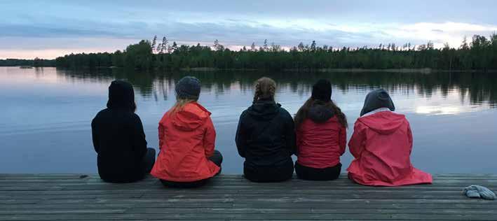 Kvällspromenad i skogen och reflektionsuppgift Efter uppgiften ska eleverna ha fått en naturupplevelse som har väckt någon form av känslor och tankar.