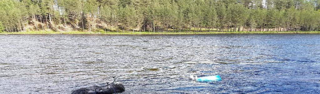 AquaBiota Rapport 2017:12 Tabell 1. Provpunkter. Position, tidpunkt vid provtagningen, vattentemperatur, antal filter (replikat) per provpunkt och total volym filtrerat vatten.