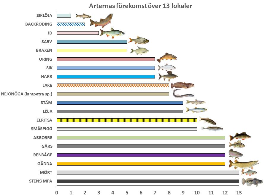 edna Fiskinventering vid Spjutmo Kraftverk 3. RESULTAT OCH DISKUSSION 3.1.