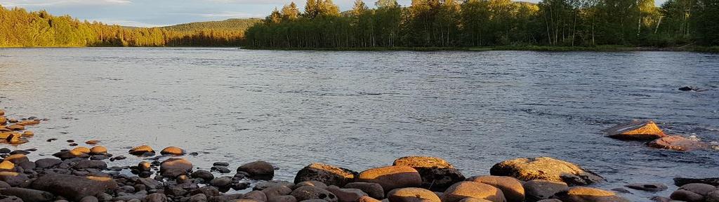 edna Fiskinventering vid Spjutmo Kraftverk Resultaten i denna rapport visar dock att både traditionella fisken och intervjustudier ger en underrepresentation av arter.