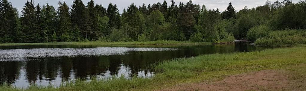 edna Fiskinventering vid Spjutmo Kraftverk som denna storvuxna öringstam skulle kunna nå. Öring detekterades svagt med edna vid 3 lokaler av 7 i Spjutmomagasinet.