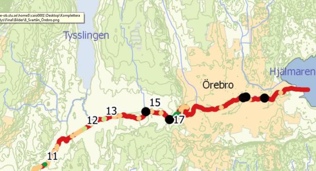 Strömlevande öring i Svartån Örebro. Hjälmaren ingen bra öringsjö (gös och gädda, grund).