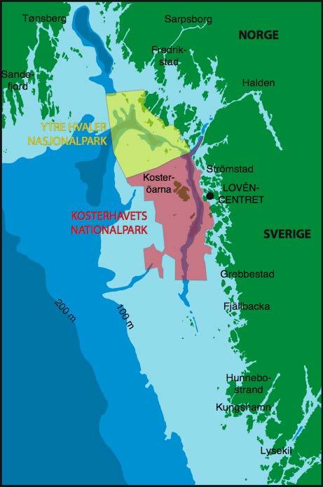 Kosterhavets nationalpark 247 m djup förkastningsspricka 35 salthalt i bottenvattnet Sveriges enda riktigt oceaniska miljö runt Sveriges kuster: ju