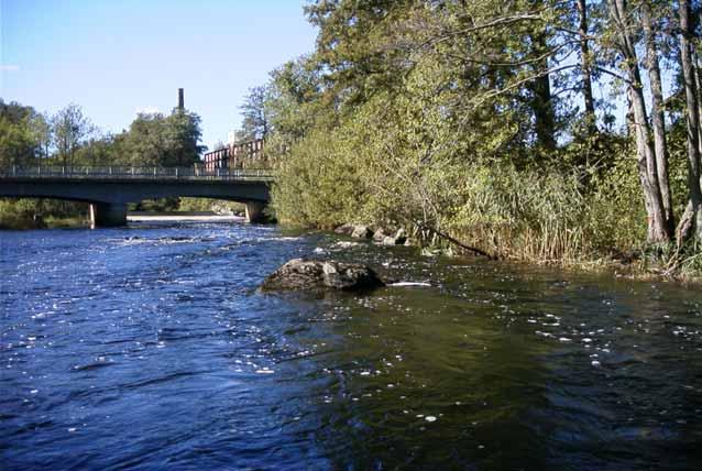 Alsterån, Ålem nedan bron Lokalbeskrivning Lokalen är en av Länsstyrelsens miljöövervakningsstationer som har provfiskats regelbundet sedan 1998.