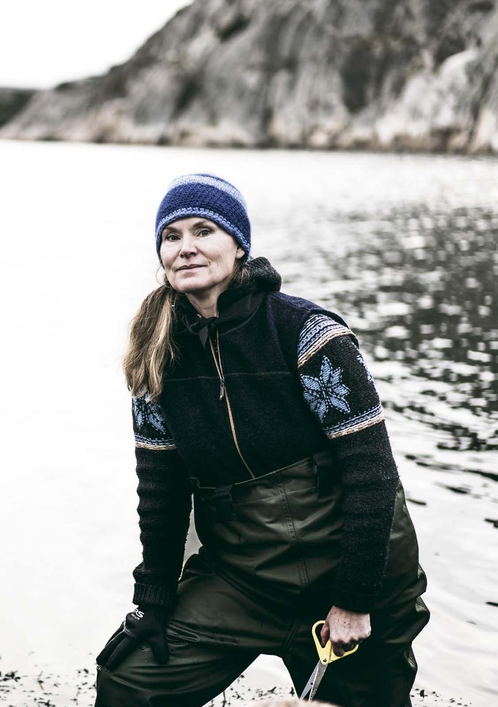 REPORTAGE TÅNGPIONJÄRERNA TÅNGCHIPS, TÅNGPANNKAKA, TÅNGBRÖD, TÅNGÖL, INLAGD TÅNG, TÅNGKOSMETIKA, TÅNGPESTO, TÅNGKOKBOK, TÅNGGUIDE, TÅNGSAFARI, TÅNGGLASS.