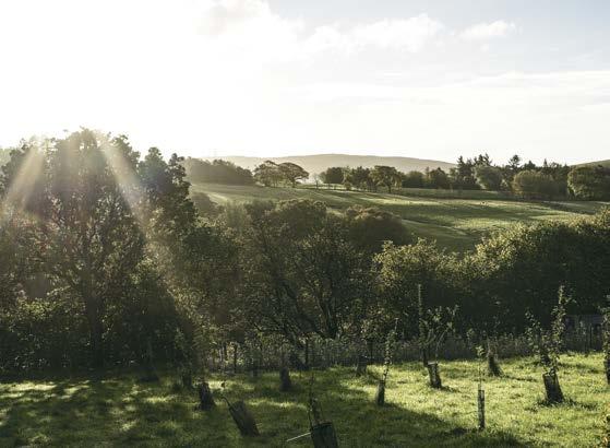 I HEREFORDSHIRE besöktes Butford Organics. Det blev en heldag med föreläsning om engelsk cidertillverkning, vandring i deras odlingar samt även praktisk tillverkning av must.