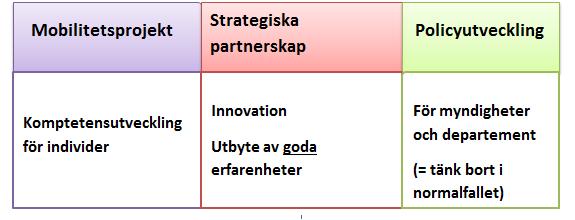 Programguidens struktur Programguiden är uppdelad i tre avdelningar. Den första delen innehåller allmän information som syften, programstruktur, budget och vem som kan delta.