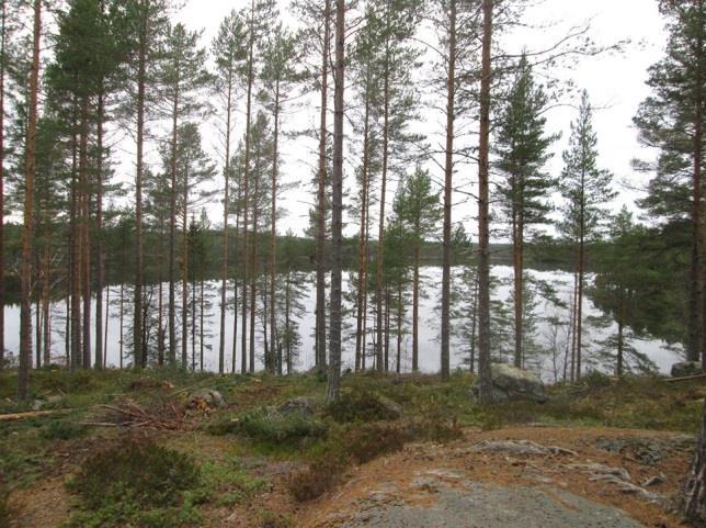 ort fanns vid Bocksjön drygt en kilometer norr om Kyrkbyn i Mo, dit de olyckliga fördes på den gamla fäbodstigen som numera ersatts