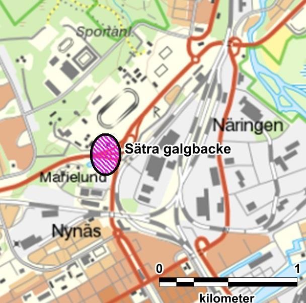 Sätra galgbacke (RAÄ Gävle 218:1-3) Sätra galgbacke ska ha legat vid landsvägen upp till Norrland, på Gävles norra sida.