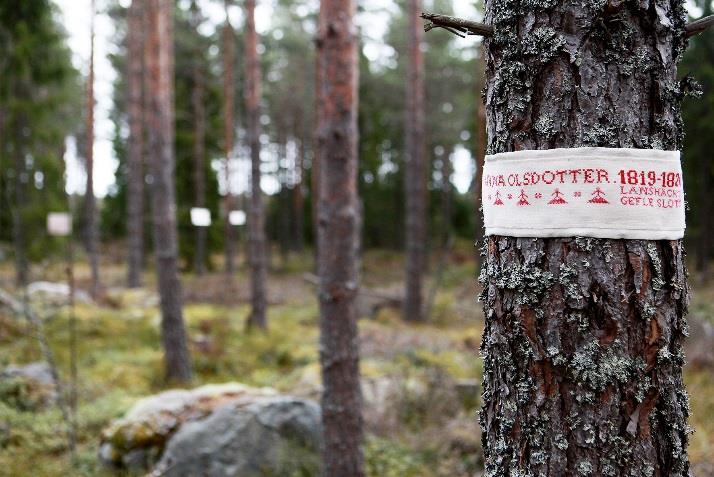 Änkan Christina Jönsdotter ägnas extra stor plats, hon beskrivs som en kvinna om 30 år. (född 1819 klädd i mörk Hedesunda dräkt).