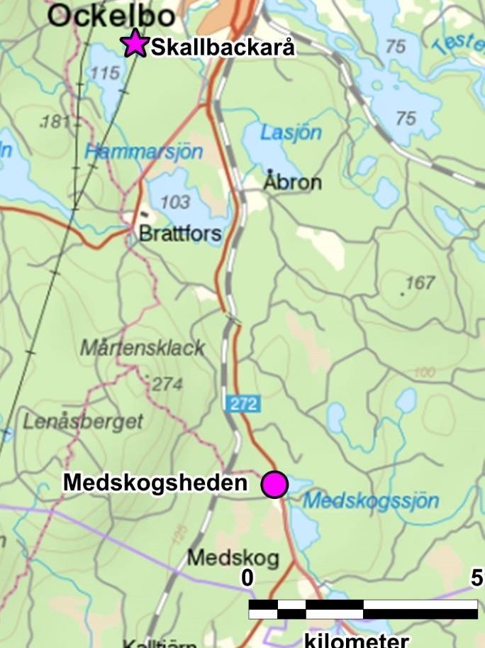 Medskogsheden (RAÄ Ockelbo 156:1) Enligt traditionen finns en avrättningsplats vid Medskogheden i byn Heden.