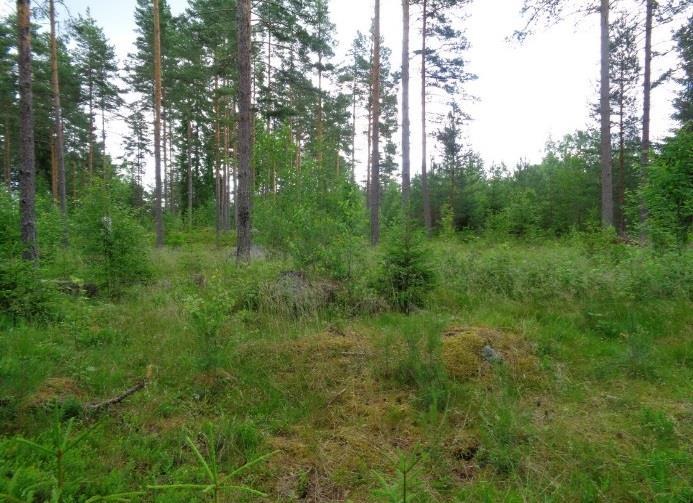 förbi tegelbruket och sen stigen uppför i skogspartiet mellan socknarna. Avrättningsplatsen låg sedan alldeles intill landsvägen.