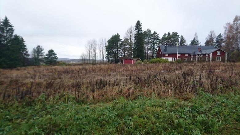 Bödelstäkten (RAÄ Hälsingtuna 193:3) Denna plats är sedan tidigare registrerad i fornminnesregistret som en plats med tradition, som skall ha fått sitt namn efter som det här funnits en