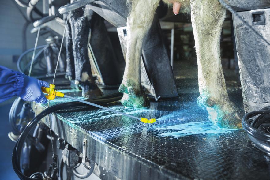 EasyStride Klövbadslösning DeLaval Sales AB Box 21, 147 21 Tumba Tel 08-550 294 00, Fax 08-550 339 15 e-post sverige.info@delaval.
