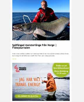 .SE SPORTFISKEFORUM.SE - ALLTOMFLUGFISKE.SE En banner hos oss ligger på både fiskejournalen.se, sportfiskeforum.se och alltomflugfiske.se såväl på frontsidorna som på samtliga undersidor.