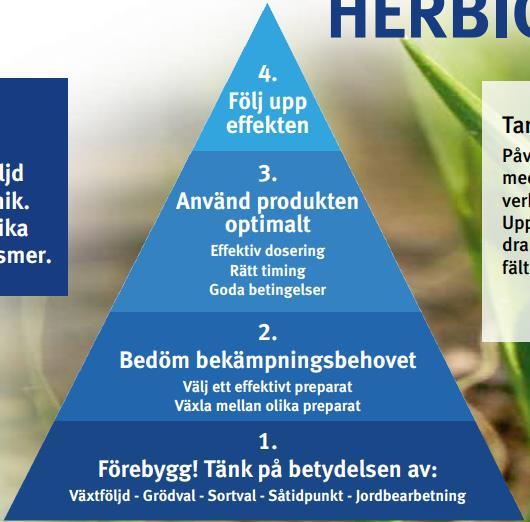 Problemen måste hanteras gemensamt Smarta prioriteringar anpassade till verksamhetens förutsättningar och
