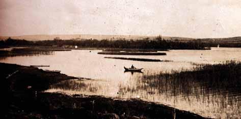 Malen - en storväxt fiskevårdare Malens (Silurus glanis) förekomst i Ivösjön är belagd i skrifterna åtminstone sedan 1700-talet. Även nobelpristagaren Harry Martinsson omnämner malen i Ivösjön.