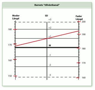 Stämmer längden med pubertetsutvecklingen?