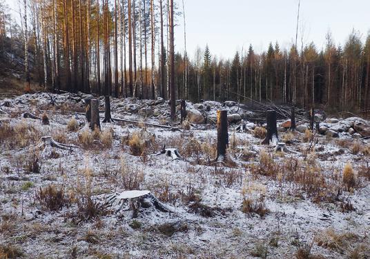 ARKEOLOGGRUPPEN AB, RAPPORT 2017:25 ARKEOLOGISK FORSKNINGSUNDERSÖKNING Sentida brandpåverkan på kolbotten och