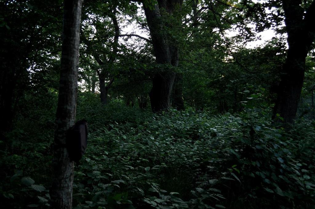 Motala kommun EnviroPlanning AB Lilla Bommen 5C, 411 04 Göteborg