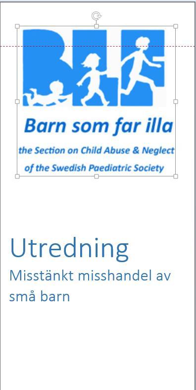 Förslag till Nationell riktlinje På