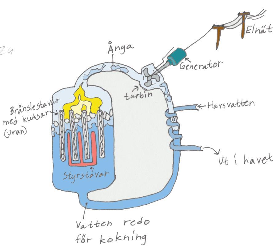 Energin från fissionen används till att förånga vatten. Vattenångan leds till en turbin och får denna att snurra. Turbinen får i sin tur en generator att snurra, och då får man elektricitet.