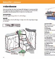 En plats i förbundsstyrelsen ger dig möjlighet att få klättringen dit du vill! Valberedningen söker kandidater som skall väljas på förbundsmötet i mars 2012.