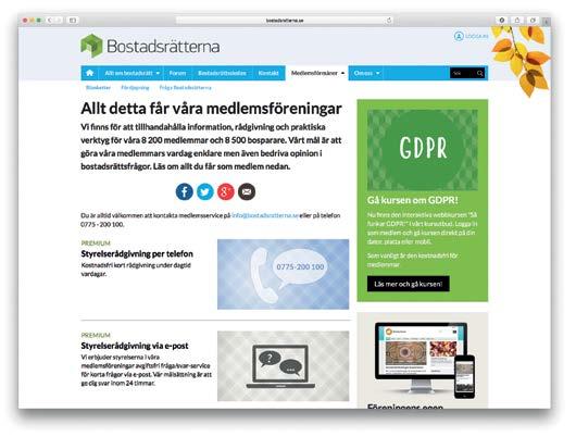 Vi har också flera interaktiva digitala kurser att ta del av: Så funkar styrelsen! och även Så funkar GDPR! som lanserades under hösten.