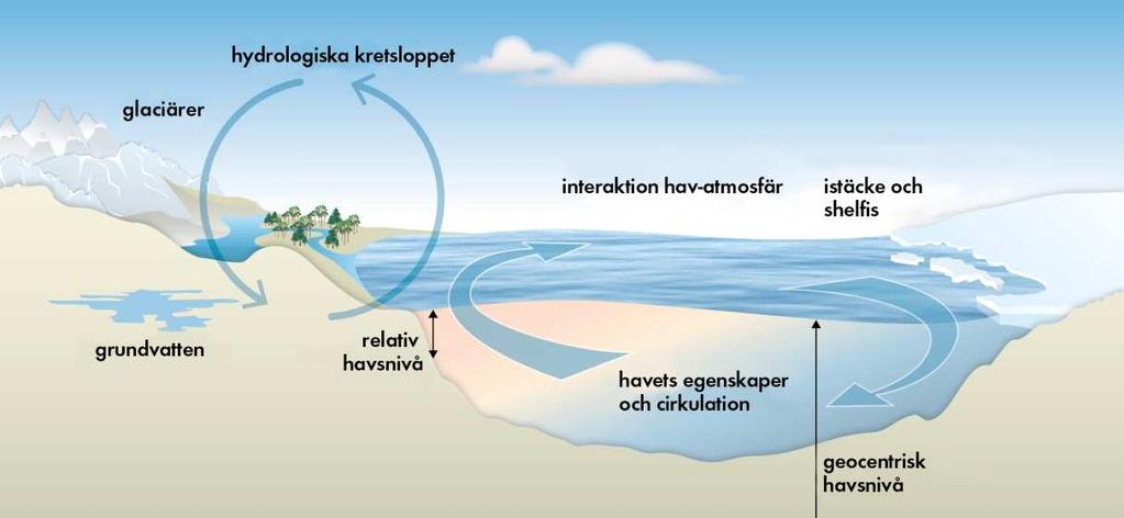 Figur 1. Illustration av de faktorer som påverkar havsnivån.