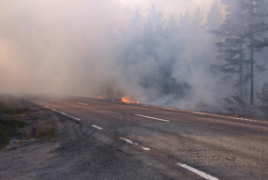 Brand Bränder i skog och mark orsakas främst av blixtnedslag och olika slags mänsklig påverkan, som till exempel lägereldar, gräseldning eller gnistor från tåg och maskiner.