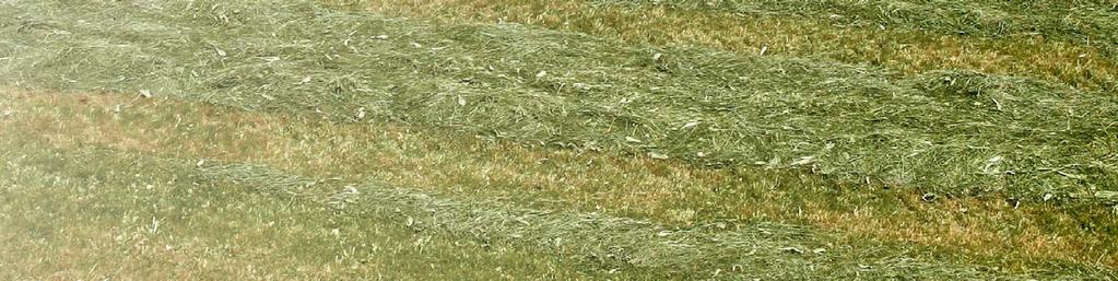 rotorer GA