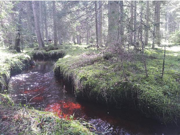 Utveckling av kartunderlag som är viktiga för handläggning av vattenrelaterade ärenden och för planering av åtgärder pågår.