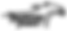 Persson B Mp / -8 / 0 it a c c 0 Vit, gul kil; vi