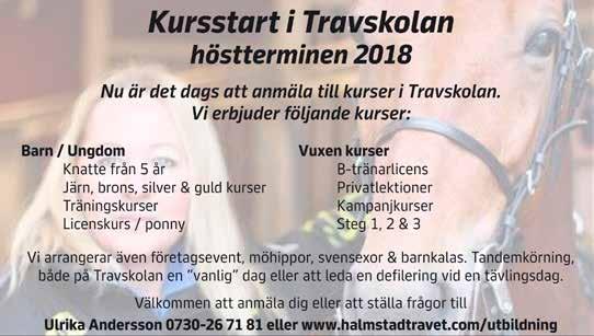Du ska ha social kompetens och vara pedagogisk och jobba under eget ansvar ihop med en av våra assistenter. Ha ett brinnande hästintresse där alltid hästen är i centrum. Kunskap i trav är ett krav.