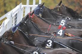 Passas om hårt tempo. Fabriz Boko är också en av dem som kan tänkas. V-förslag Avd. : ---0 Avd. : ----8-9 Avd. : --8 Sportchefens speltips V-: Ett bra och öppet treåringslopp.