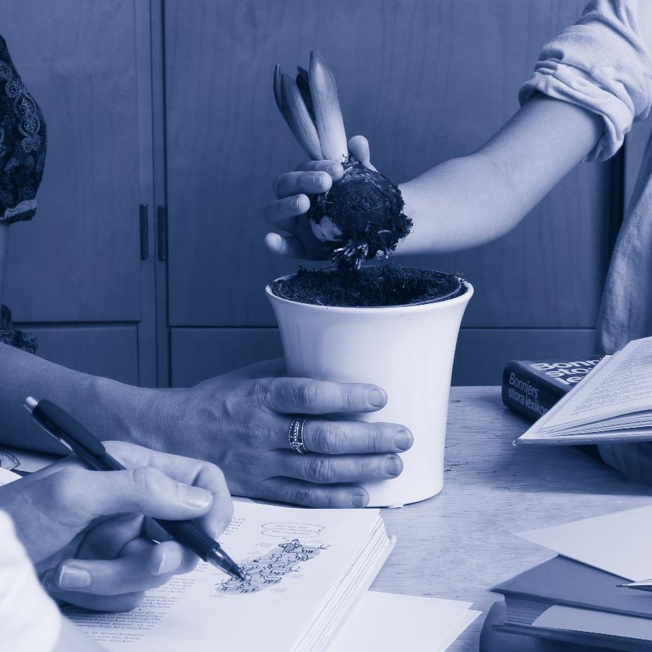 GRUNDSÄRSKOLAN Läroplan för