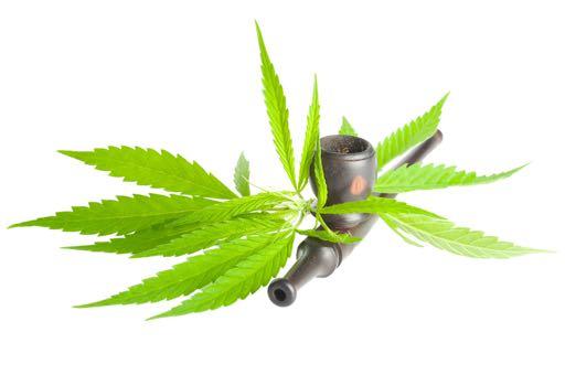 Dunedin studien 2013 Nya Zeeland: 1000 pers från 13-38 års ålder Drogvanor-IQ: Ju mer cannabis rökning, desto större förlorad kognitiv kapacitet.