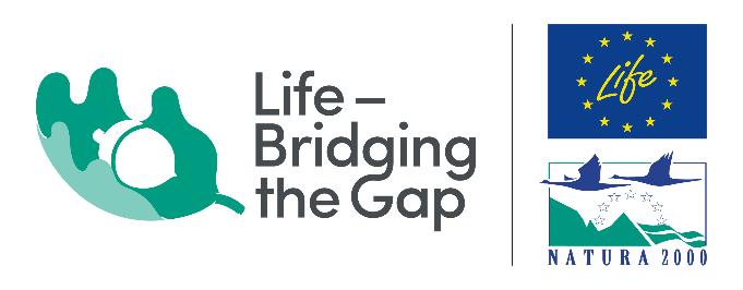 1 (9) Datum Version Ändrad av Ändringar 2017-06-21 Skapat dokument Restaureringsplan för N2000-området Halltorp inom projektet Life Bridging The Gap LIFE15 NAT/SE/000772 Om Projektet Life Bridging
