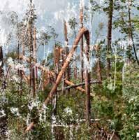STORM Småland ligger i en blåsig del av Sverige. Det är nog de flesta medvetna om. Klimatförändringar med mer extremt väder kan leda till stormar med värre konsekvenser.