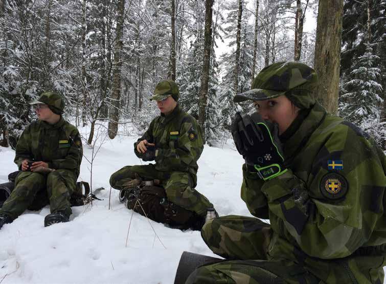 KURSER vinter och vår