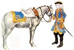 Cavalry units during the period The first Calolean uniform 1675-1692 Regular units The Mounted Bodyguard Company of the Life Guard, from 1699 independent as King s Bodyguard Nobility Regiment Alloted