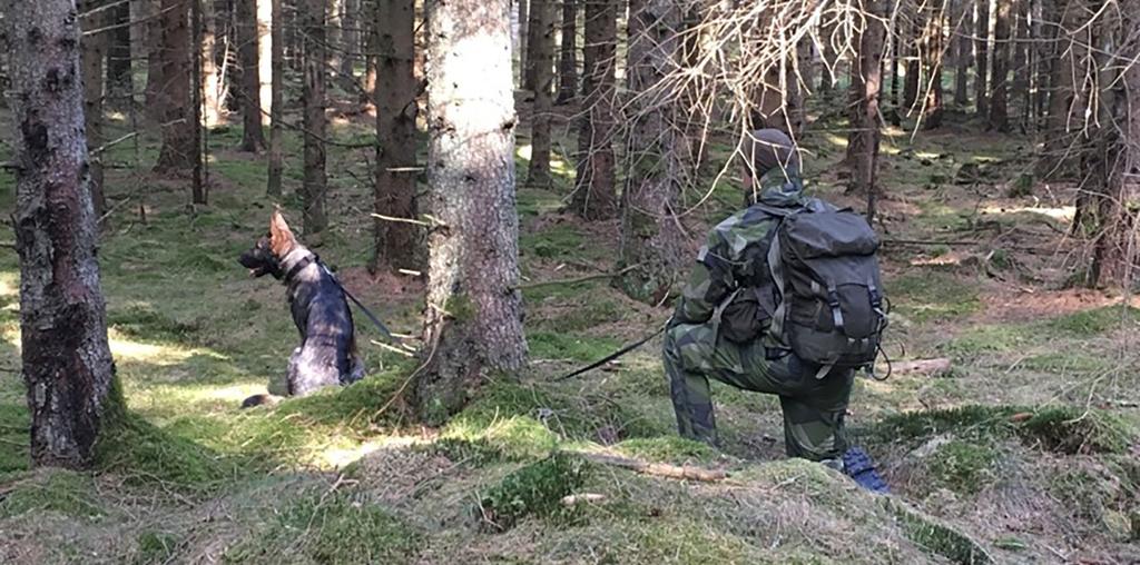 Syftet med bilderna är att tjäna som stöd vid planering av enskild medarbetares kompetensutveckling.