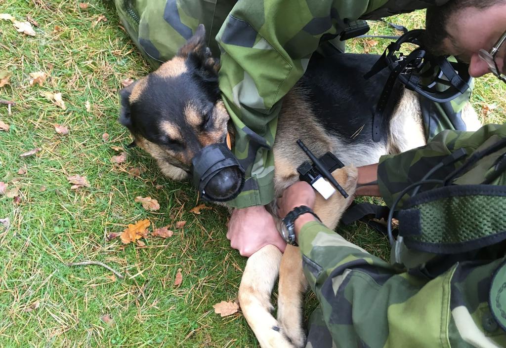 Den övergripande målsättningen är att ge kursdeltagaren ökade kunskaper och färdigheter att nyttja hundens förmåga för att lösa